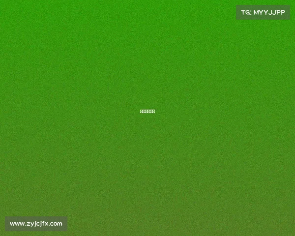 合肥电子竞技 合肥电子竞技